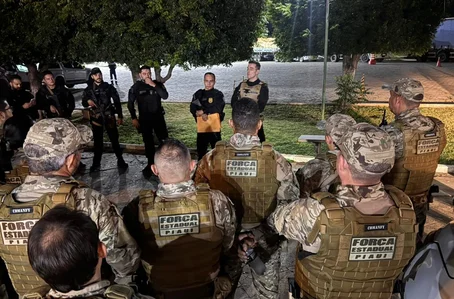 Operação contra o tráfico de drogas em Campo Maior