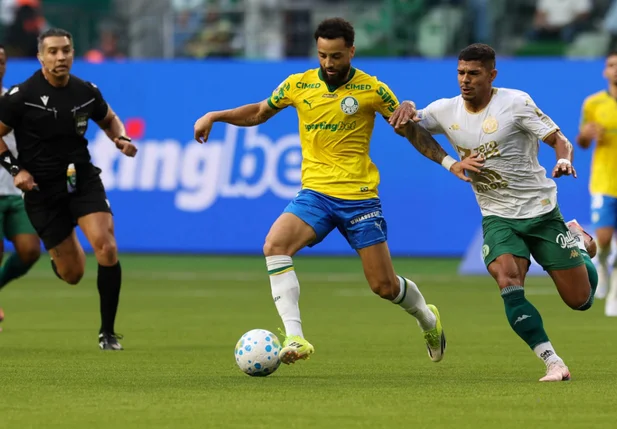 Palmeiras é o líder do Brasileirão