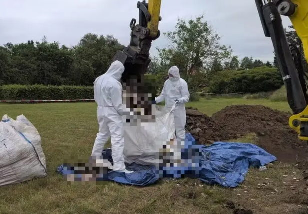 Polícia encontra 34 fetos enterrados em jardim de médica na Polônia