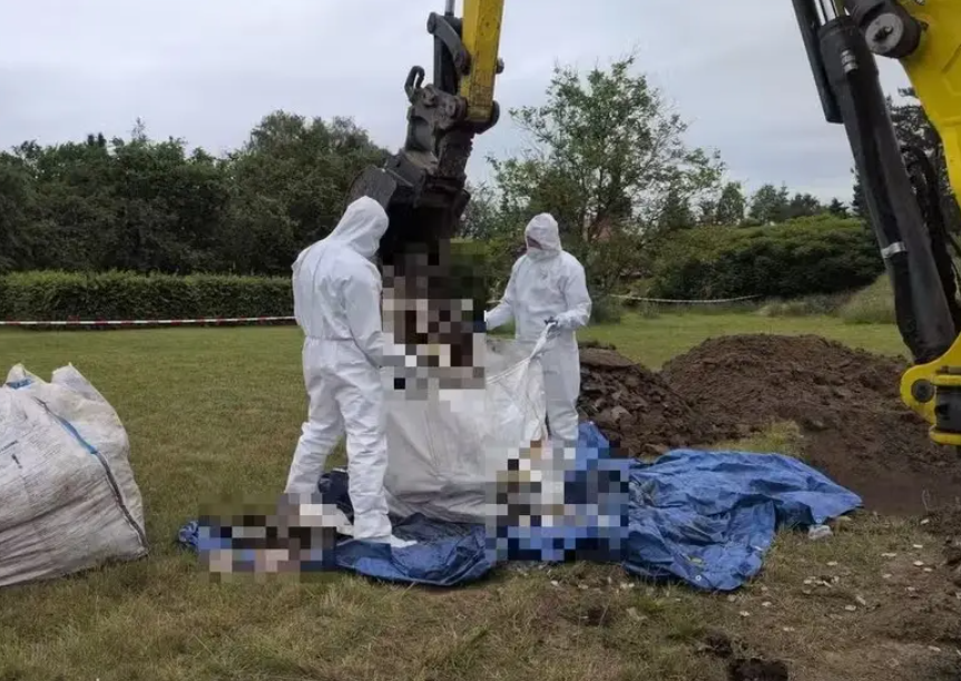 Polícia encontra 34 fetos enterrados em jardim de médica na Polônia