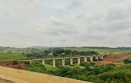 Ponte do Esqueleto