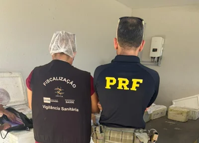 PRF apreende 100kg de queijo e 550kg de pescado sem nota fiscal na BR 343 em Parnaíba