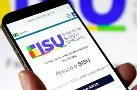 Sisu