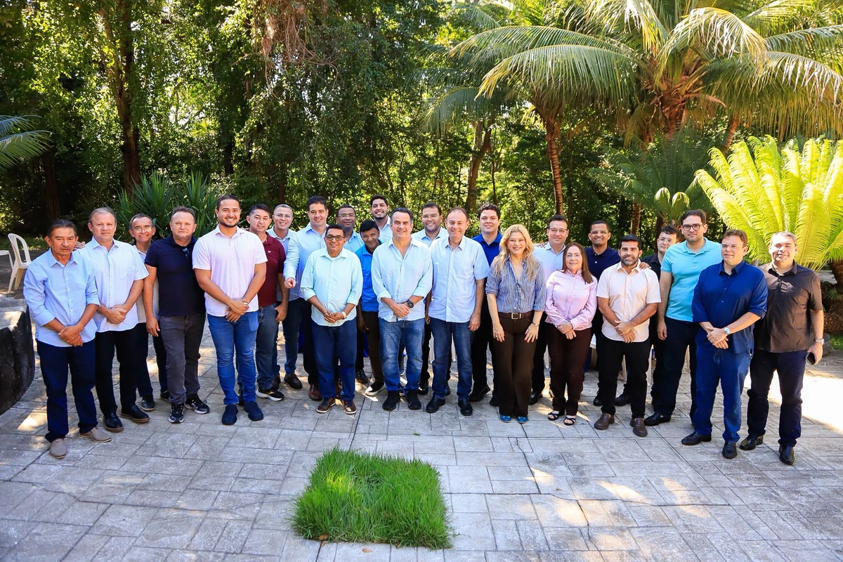 Vereadores se reuniram com o senador Ciro Nogueira
