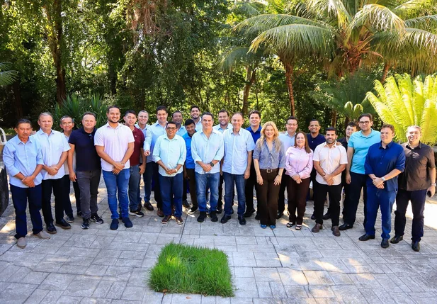 Vereadores se reuniram com o senador Ciro Nogueira