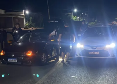 Abordagem do DENARC ocorreu na BR 343 em Altos