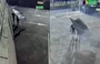 Ação terrorista na Havan em Maceió
