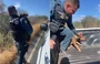 Cadela foi arrastada na PI 378 na zona rural de Pio IX