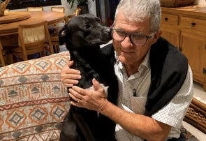Cão é adotado após entrar em feira e dormir em cama de exposição
