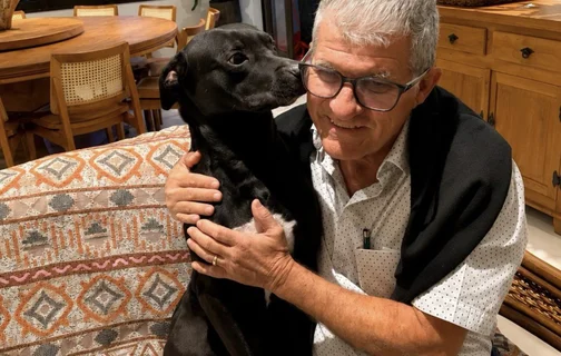 Cão abandonado entra em feira, dorme em cama de exposição e é adotado