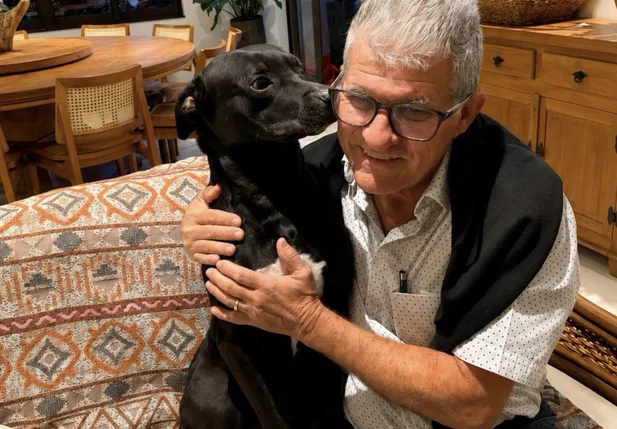 Cão abandonado entra em feira, dorme em cama de exposição e é adotado