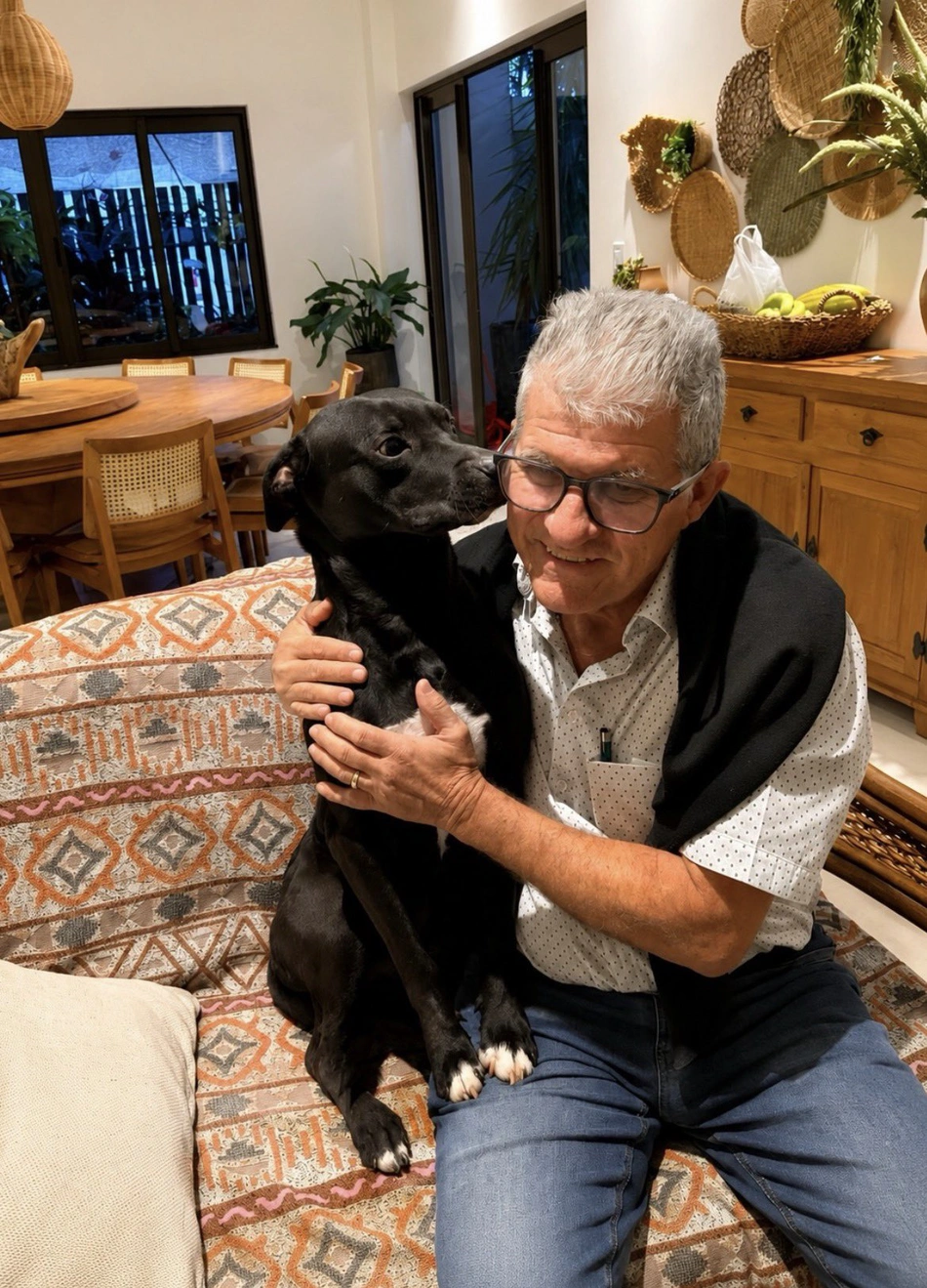 Cão abandonado entra em feira, dorme em cama de exposição e é adotado