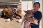 Castanha recebeu os cuidados necessários em uma clínica veterinária