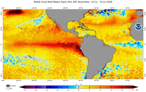 El Niño começa a influenciar o Sul