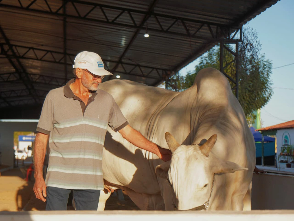 ExpoCorrente