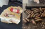Granadas e munições encontradas na casa de mulher em Parnaíba