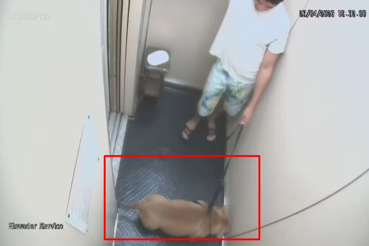 Imagens do elevador mostram dono com Pitbull ainda vivo.