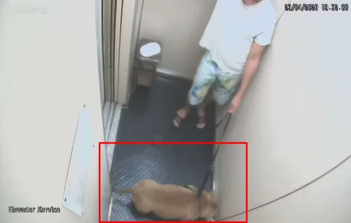 Imagens do elevador mostram dono com Pitbull ainda vivo.