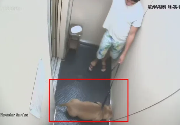 Imagens do elevador mostram dono com Pitbull ainda vivo.