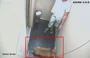 Imagens do elevador mostram dono com Pitbull ainda vivo.