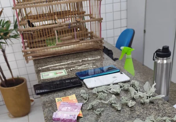 Material apreendido durante a ação da Polícia Militar em Ilha Grande do Piauí