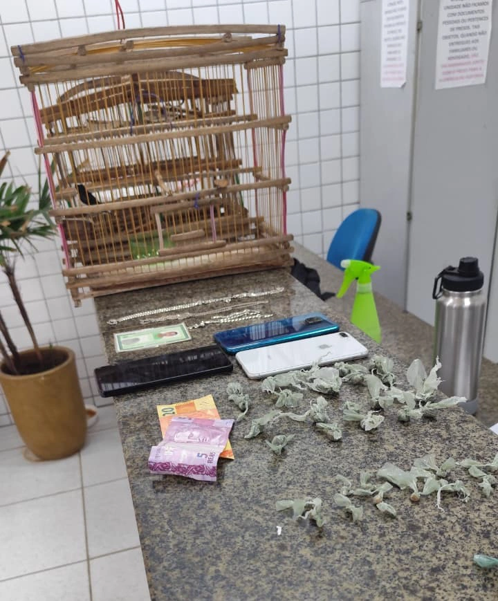 Material apreendido durante a ação da Polícia Militar em Ilha Grande do Piauí