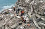 Médicos cirurgiões se voluntariam para ajudar as vítimas de terremotos na Venezuela; na imagem a equipe da Grad Brasil que atua no resgate de vítimas humanas e animais.