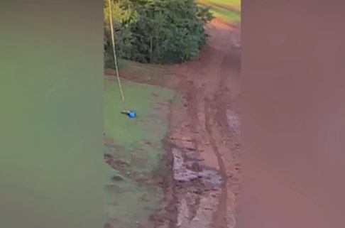 Menino de 9 anos já se feriu em rump jump