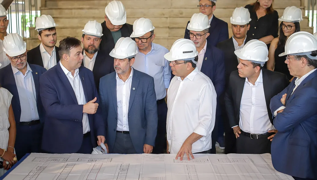 Momento de apresentação da planta
