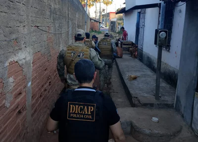 Operação Protetor de Divisas