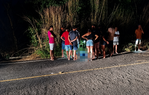 Pedestre morre após ser atropelado por caminhão na rodovia PI 115