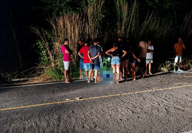 Pedestre morre após ser atropelado por caminhão na rodovia PI 115
