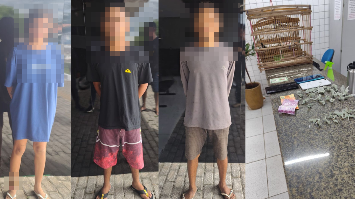 PM apreende drogas, celulares e dinheiro em residência de Ilha Grande do Piauí.