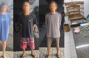 PM apreende drogas, celulares e dinheiro em residência de Ilha Grande do Piauí.