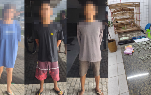 PM apreende drogas, celulares e dinheiro em residência de Ilha Grande do Piauí.