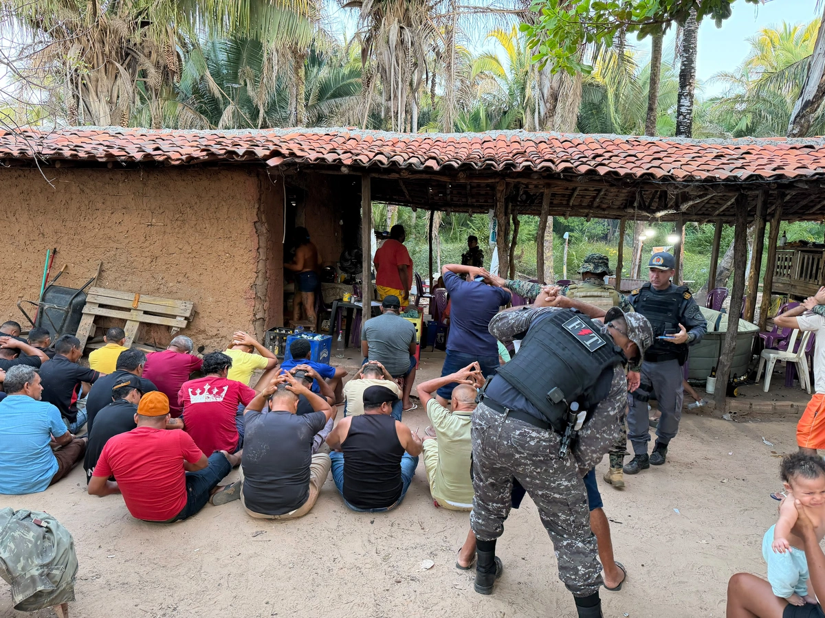 Polícia desarticula rinha de galos, apreende 59 aves e prende proprietário em Parnaíba