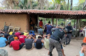 Polícia desarticula rinha de galos, apreende 59 aves e prende proprietário em Parnaíba