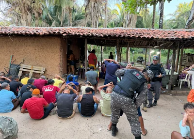 Polícia desarticula rinha de galos, apreende 59 aves e prende proprietário em Parnaíba