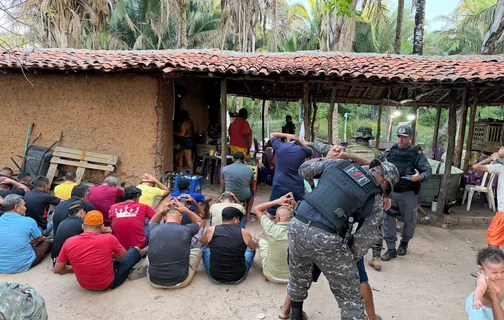 Polícia desarticula rinha de galos, apreende 59 aves e prende proprietário em Parnaíba