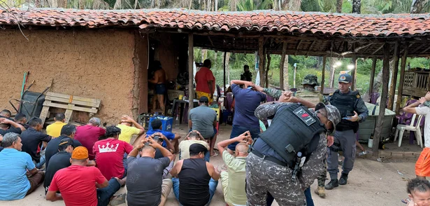 Polícia desarticula rinha de galos, apreende 59 aves e prende proprietário em Parnaíba