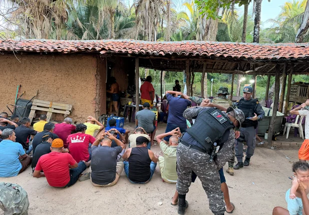 Polícia desarticula rinha de galos, apreende 59 aves e prende proprietário em Parnaíba