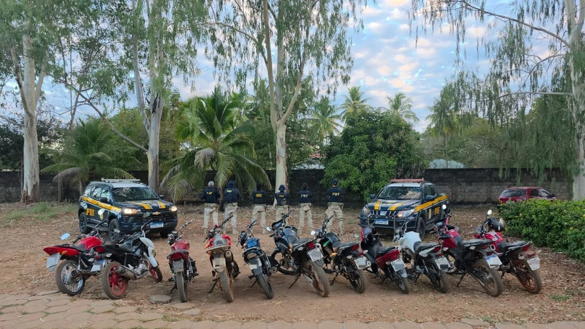 PRF recupera 49 veículos roubados durante ação no Piauí