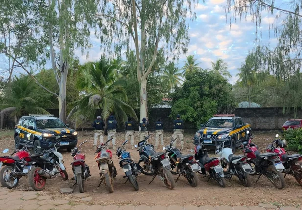 PRF recupera 49 veículos roubados durante ação no Piauí