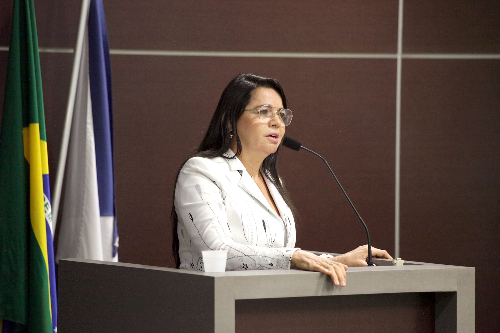Vereadora Teresa Brito