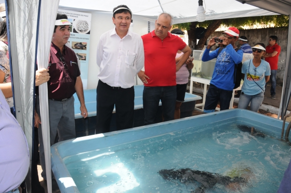 Wellington Dias participa do II Festival do Peixe em Esperantina