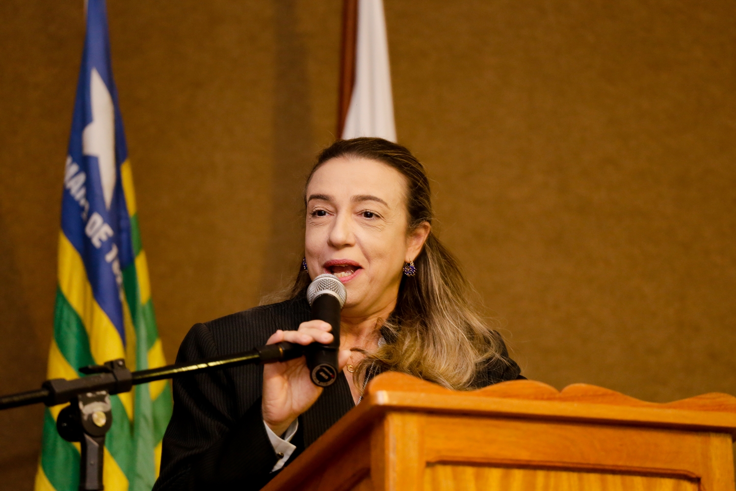 Delegada Eugênia Villa