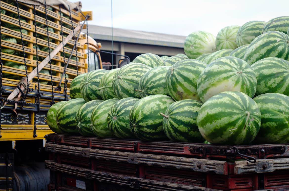 Produção familiar no Piauí