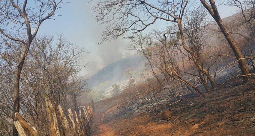 Incêndio de grande proporções na região sudeste do Piauí.jpg