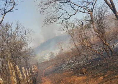 Incêndio de grande proporções na região sudeste do Piauí.jpg