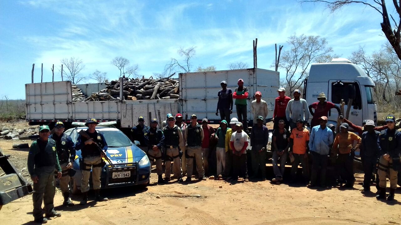 Ação resgata trabalhadores em São Francisco de Assis do Piauí